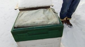 21февраля.ВСКРЫТИЕ весной  ПОКАЖЕТ или ПОДСТРАХОВАТЬСЯ..