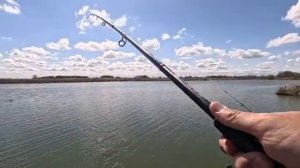 Рыбалка на донку весной 2025 ловля карася на фидерную снасть