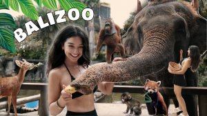 ОДИН ДЕНЬ МОЕЙ ЖИЗНИ НА БАЛИ