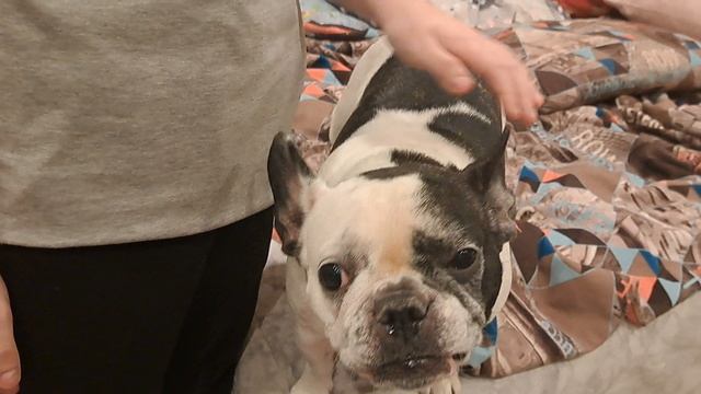 TERPENIE смотреть онлайн