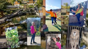 Самый лучший гусь 🤣 Толик 🤣 более известный как Жора 🪿