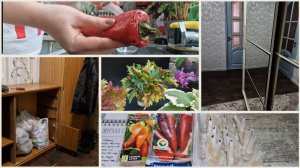 Собрала свежие семена перца и замочила старые. Первые всходы и корешки.Обновлённая прихожая