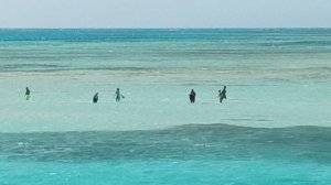 Прогулка на яхте в Шарм-эль-Шейхе