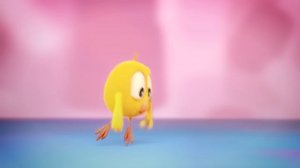 Цыпленок на воле