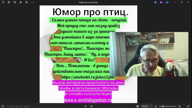 Юмор про птиц 12.