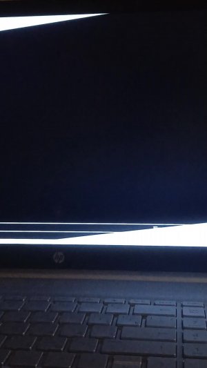 играю и общаюсь