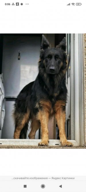 Сборы на прогулку/ПДБ❤