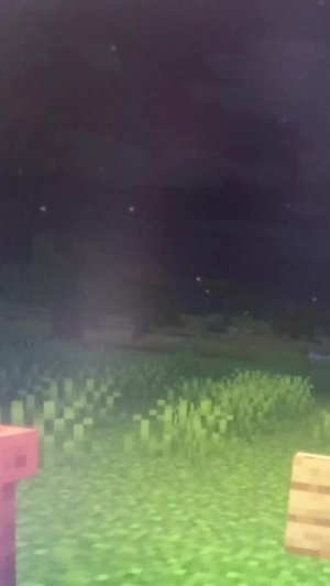 у моей подруги мимик в майнкрафте!