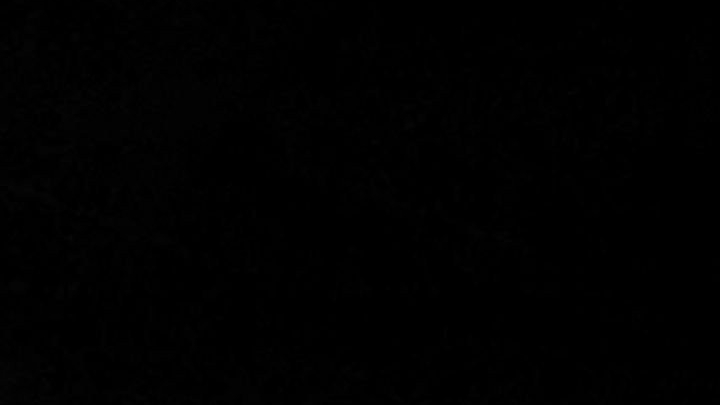 ??? vs Survivors fan-lms