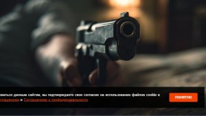 Французский солдат застрелил сослуживца в ходе пьяной драки в военном госпитале