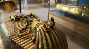 Прогулка по Музею в Египте