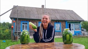 Самый необычный способ маринования огурцов от около деревни