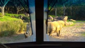 Настя в парке развлечений находит новых друзей