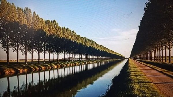 Рыма Чек и Домосед Домосед - два пузыря