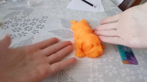 как провести мед осмотр у сквишей Собачек 😃🐶