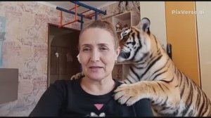 Бракованный товар с Валдерис.Затягивают решение по заявкам/Горячая линия Валдберис не существует/