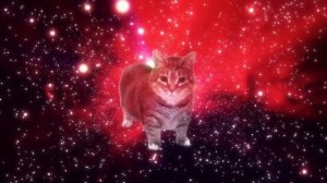 oiiaoiia cat (remix)