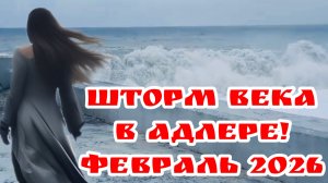 ✅Стоит ли ехать в Адлер в феврале? Цены, жилье и ОПАСНЫЙ шторм #адлер2026 #штормадлер #отдыхвроссии