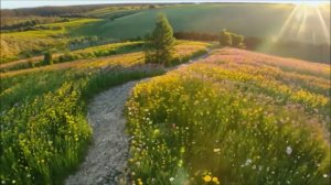 Приди пока не поздно