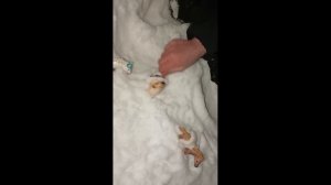 Лесное племя 1 серия