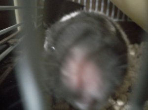 Моя первая трансляция я люблю 💕