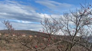 🇭🇷🇭🇷Пешая прогулка к морю🇭🇷🇭🇷Лабин🇭🇷🇭🇷Хорватия