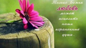 Потому что люблю!