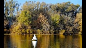 Меняют люди адреса