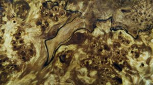 АВТОКЛАВ! Стабилизация древесины ПО-ВЗРОСЛОМУ!