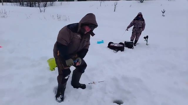 21.02.26 г. РК Волна. смотреть онлайн