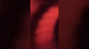 VID_20260221_162106.mp4