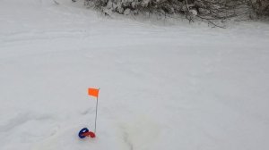 Рыбалка на Тоболе жерлицами.