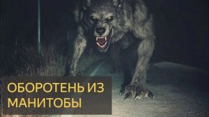 Оборотень из Манитобы (Мистическая история, США, ферма)