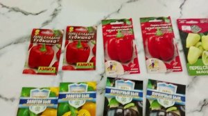 Обзор семян болгарского перца.
