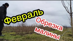 21-02-2026 Февраль.Обрезка малины.