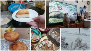 НА ЗАВТРАК ЗАПЕКАНКА ● УЧИТСЯ СМОТРЕТЬ ● РАЗБИРАЮ ИГРУШКИ ● Я ПОЗНАЮ МИР У ВАСИЛИСЫ