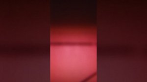 армия плохих утят(1часть)