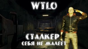 Will To Live Online Сталкер себя не жалеет