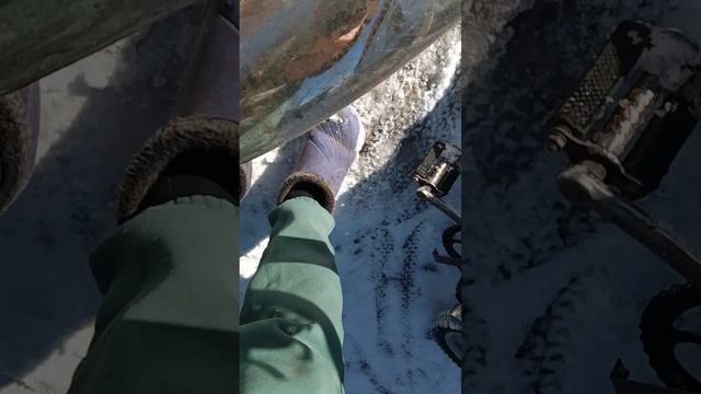 конь вышел из стойла