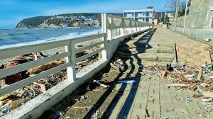 Вот такой у меня выбор(попрыгунья-стрекоза🫡) На пляже после шторма💦 от моря к морю