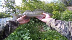 Рыбалка на джиг весной. Лайтовый комплект/Легкий джиг.