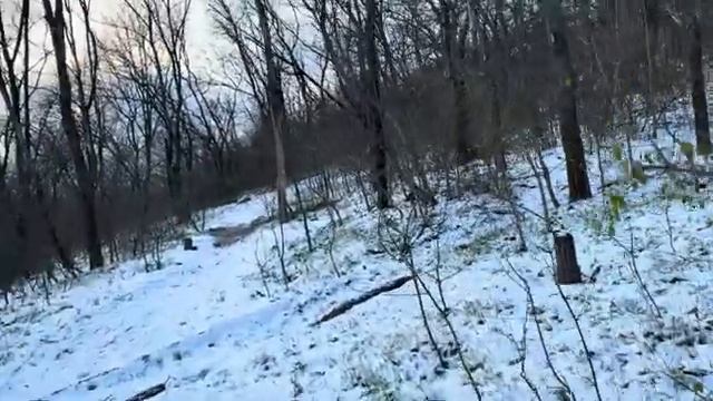 ОДЕССА 21 ФЕВРАЛЯ 2026. ЗЕ БОРЕТСЯ С ОХРАНОЙ,ЧТОБ ОБНЯТЬ ЛЮДЕЙ НА УЛИЦЕ И ХОЧЕТ В0ЕВАТЬ ЕЩЕ 3 ГОДА! смотреть онлайн