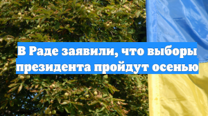 В Раде заявили, что выборы президента пройдут осенью