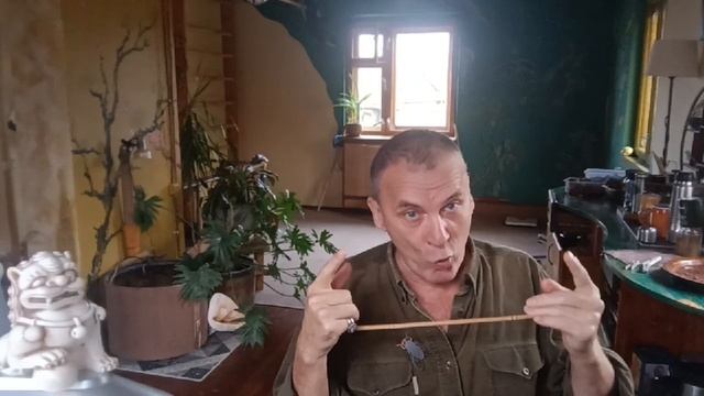 Проба Пера ЗГВ 5