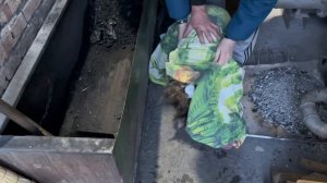 Разорван стаей! Молодой пёс истекает кровью, мы мчим в клинику! | Пирожок