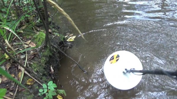 Поиск Золотых самородков металлоискателем! #gold