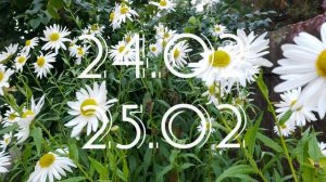 Дачный Лунный календарь садовода с23.02-1.03.26г.