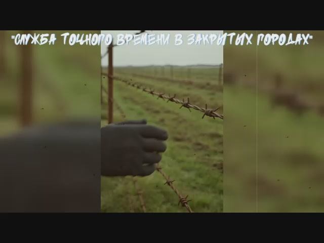 04. Вкус ржавой колючки