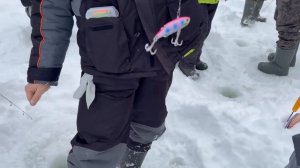 утренние поимки форели