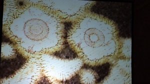 «Преображение кимоно: искусство Итику Куботы»-5